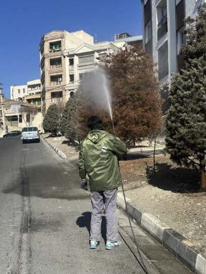 پایان عملیات سمپاشی زمستانه درختان در کرج