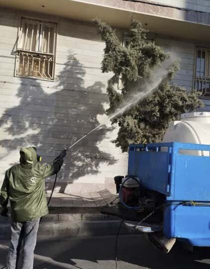 پایان عملیات سمپاشی زمستانه درختان در کرج