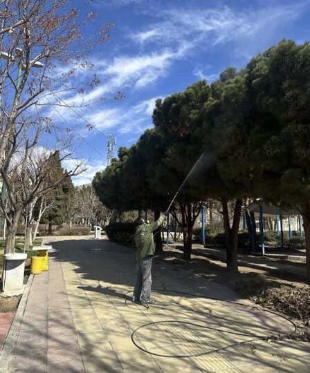 پایان عملیات سمپاشی زمستانه درختان در کرج