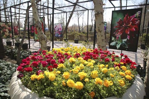 کرج آماده برگزاری باشکوه دهمین جشنواره لالهها شد جلسه هماهنگی دهمین جشنواره لاله ها