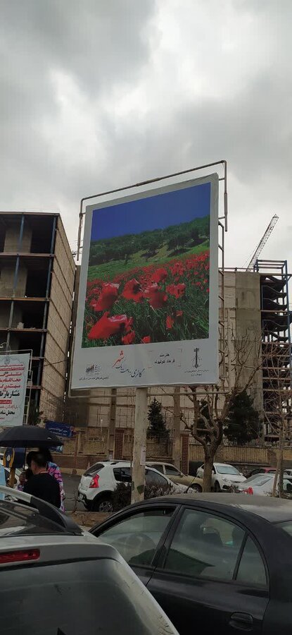 آثار عکاسان مطرح استان البرز به اکران درآمد