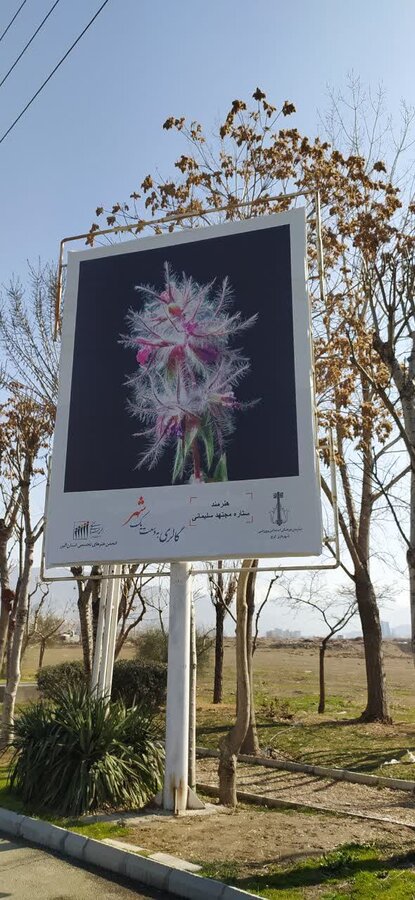 آثار عکاسان مطرح استان البرز به اکران درآمد