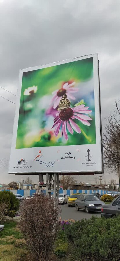 آثار عکاسان مطرح استان البرز به اکران درآمد