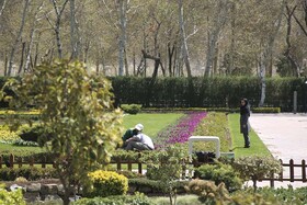 آماده‌سازی باغ گل‌ها برای دهمین جشنواره لاله‌های کرج
