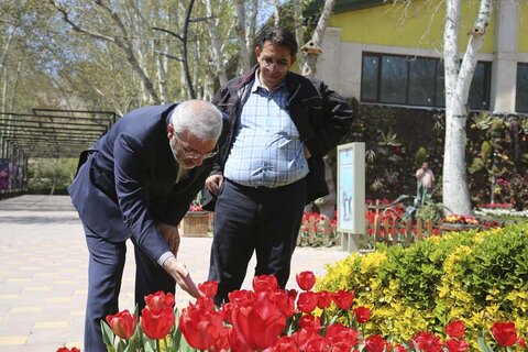دهمین جشنواره لاله های کرج از ۲۰ فروردین پذیرای علاقمندان است بازدید از روند اجرایی دهمین جشنواره لاله ها