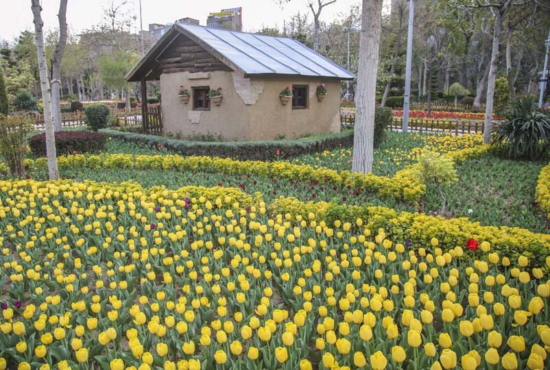 جشنواره لالهها به یک رویداد ملی تبدیل شده است