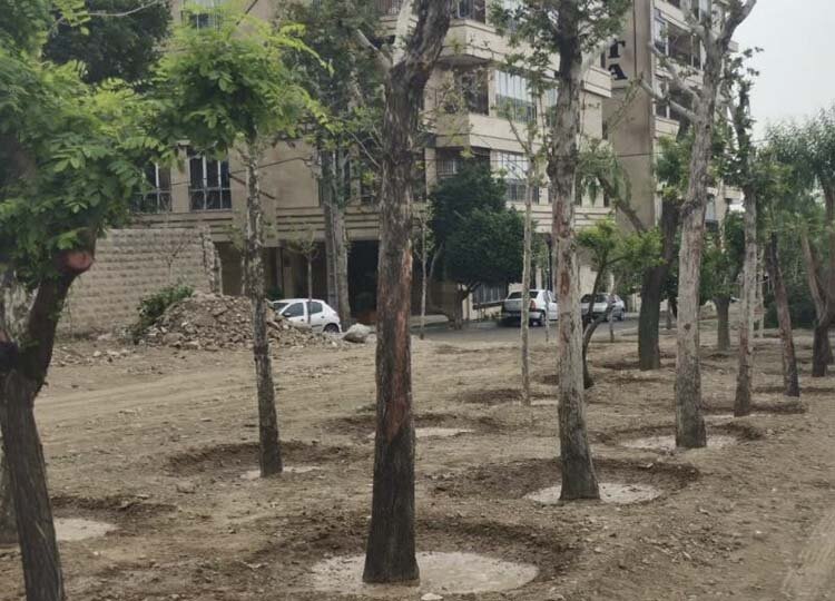تخریب فضای سبز و هرگونه آسیب به درختان خط قرمز مدیریت شهری است