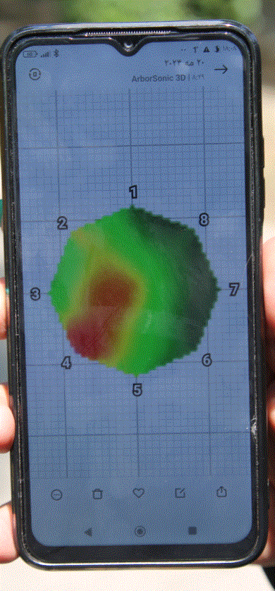 سلامت درختان کهنسال کرج با توموگرافی بررسی میشود