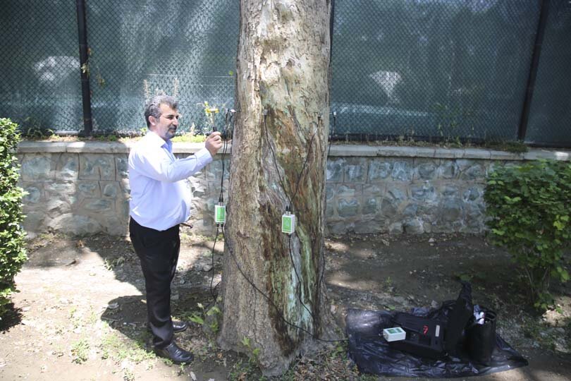 سلامت درختان کهنسال کرج با توموگرافی بررسی می‌شود