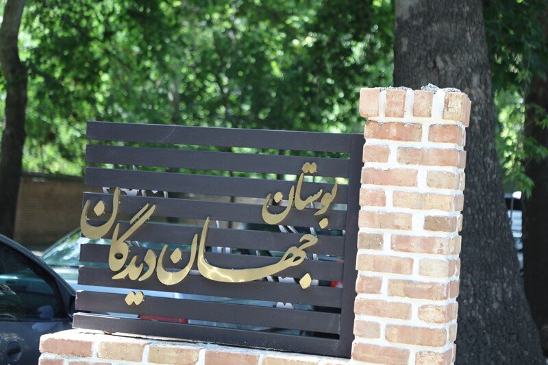سالمندان عمر خود را صرف ساختن کشور کردهاند