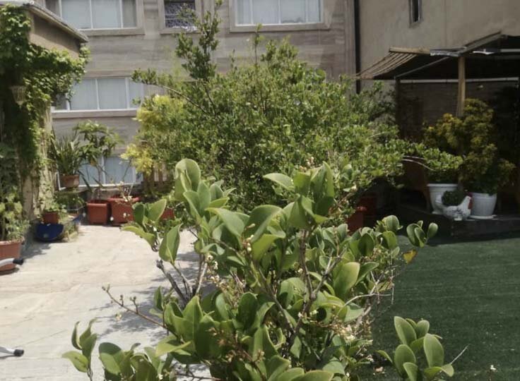 زدودن چهره خاکستری بافت فرسوده شهر کرج