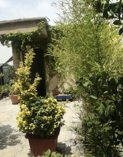 زدودن چهره خاکستری بافت فرسوده شهر کرج