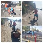 پاکسازی مستمر حاشیه اتوبان تهران-کرج برای حفظ زیبایی شهر 10