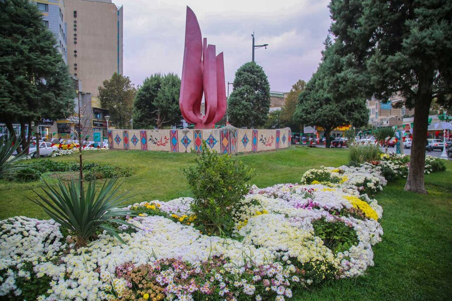 ۳۵۰هزار بوته گل داوودی در شهرکرج شکوفا شد