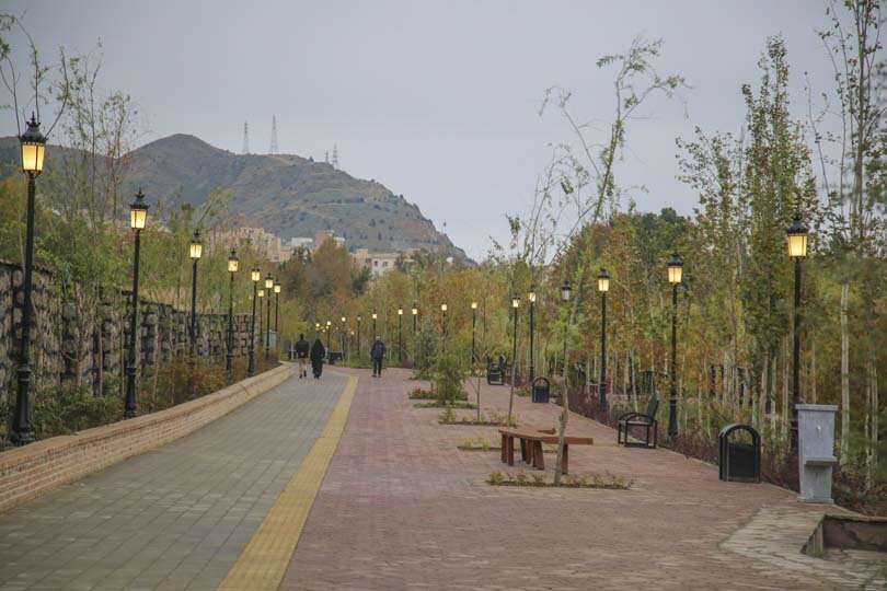 نگهداری درختان حاشیه رودخانه کرج با مراقبتهای بالینی انجام شده است