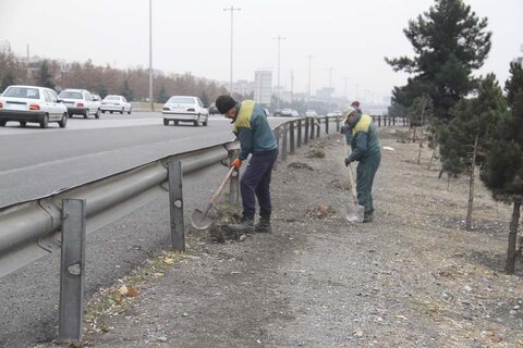 ۱۴ کیلومتر از طول فضای سبز حاشیه اتوبان تهران کرج بازپیرایی میشود فضای سبز حاشیه اتوبان