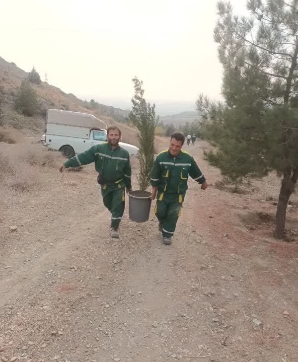 تکمیل کاشت بیش از ۲۰۰۰ اصله نهال در پروژه جنگلکاری کلاک و خلج آباد