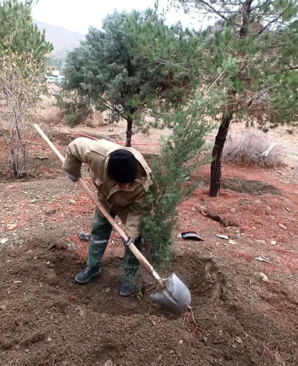 تکمیل کاشت بیش از ۲۰۰۰ اصله نهال در پروژه جنگلکاری کلاک و خلج آباد