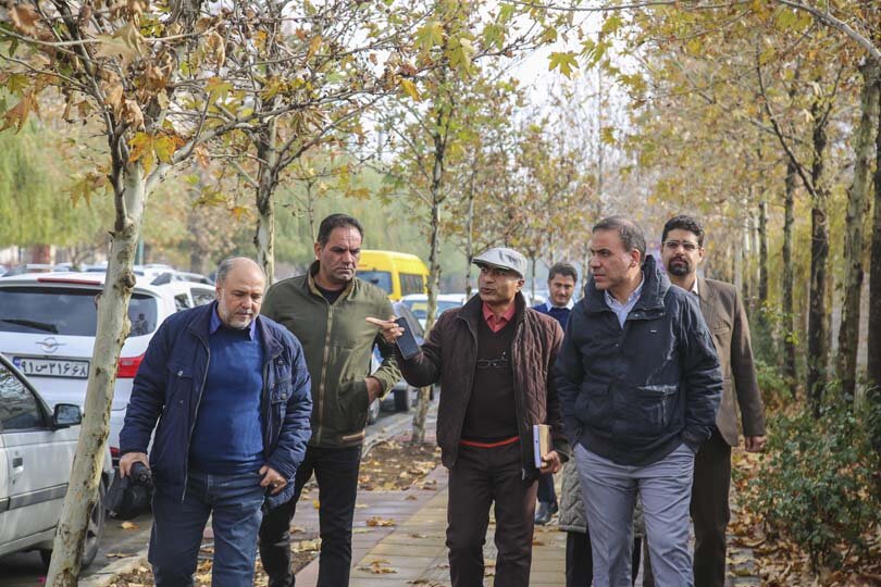 آیندهای سبز برای چنارهای کرج