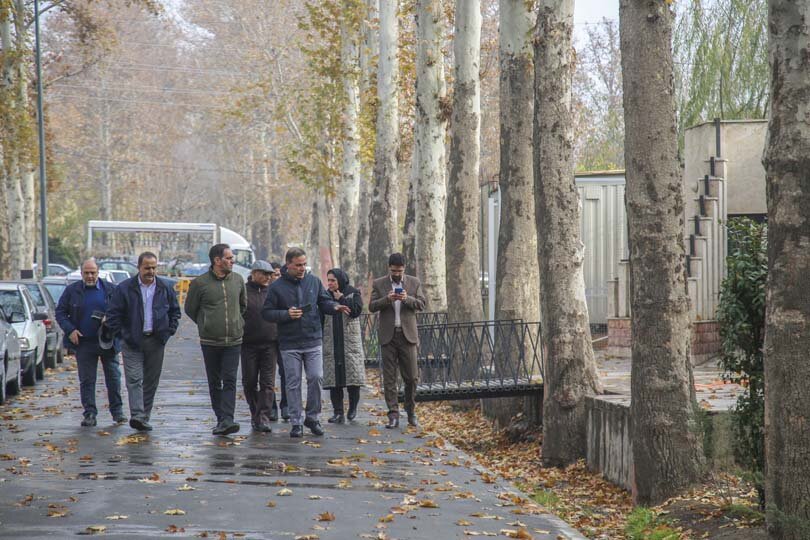 آیندهای سبز برای چنارهای کرج