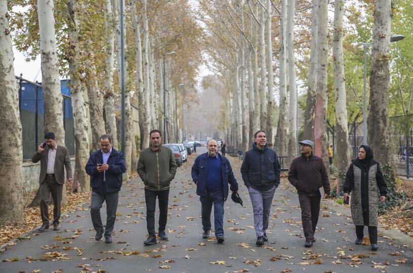 آیندهای سبز برای چنارهای کرج