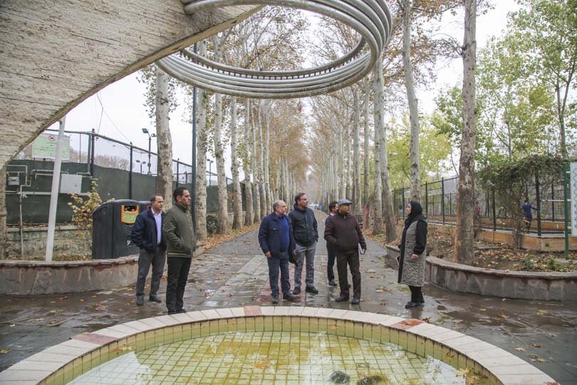 آیندهای سبز برای چنارهای کرج