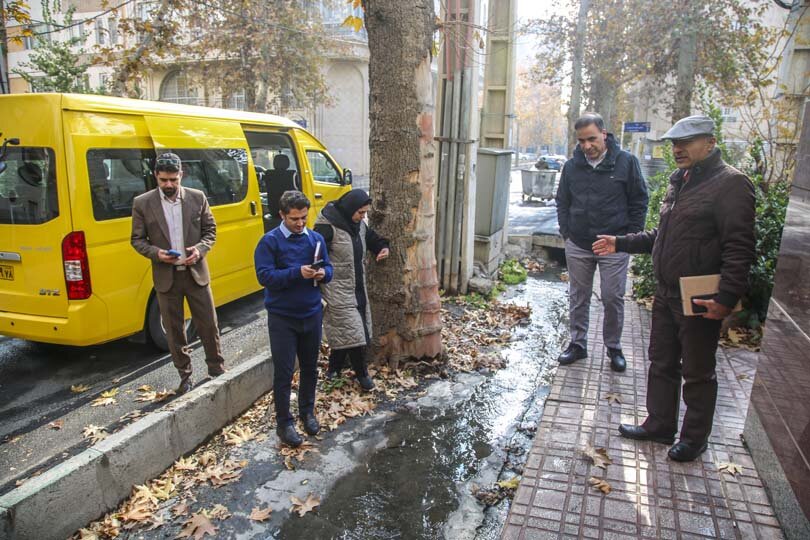 آیندهای سبز برای چنارهای کرج