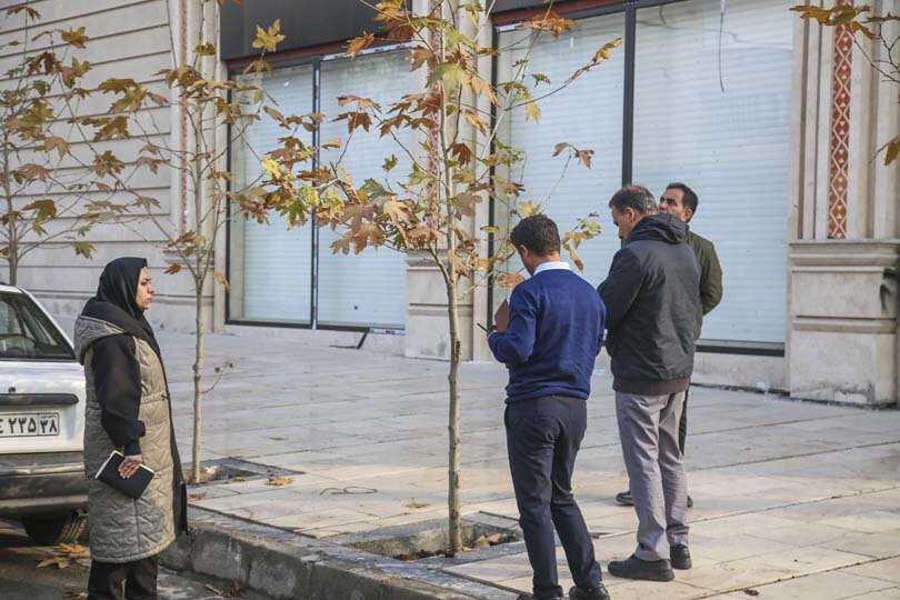 آیندهای سبز برای چنارهای کرج