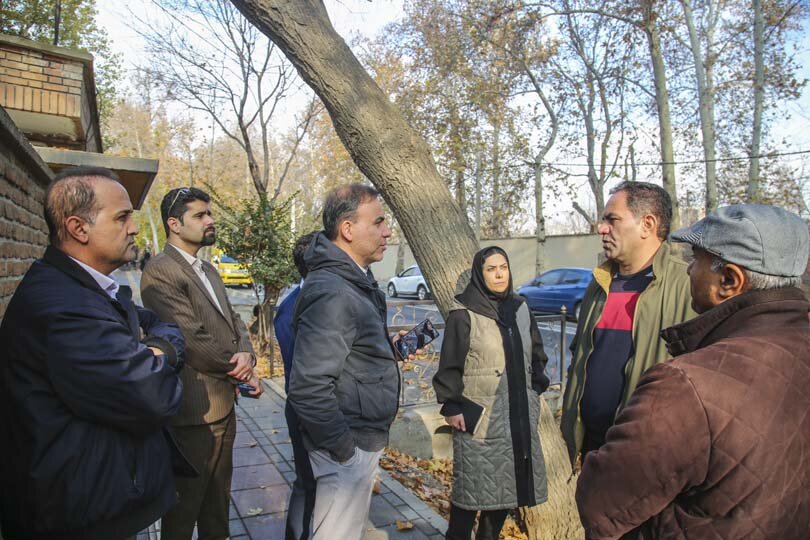 آیندهای سبز برای چنارهای کرج