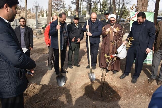 استان البرز پویش نهالکاری "در سایه مادر" را آغاز کرد