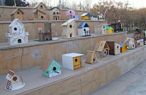 دانشجویان شهرکرج برای پرندگان لانه ساختند مسابقات لانه سازی