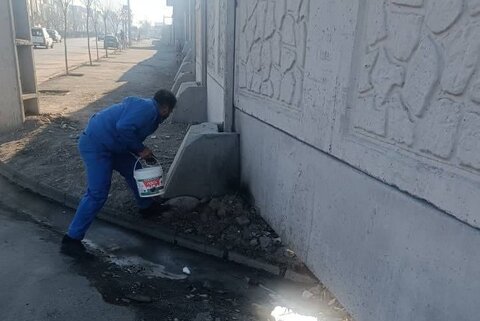 طرح طعمهگذاری جانوران موذی اجرا میشود امحا حیوانات موذی - کراپشده