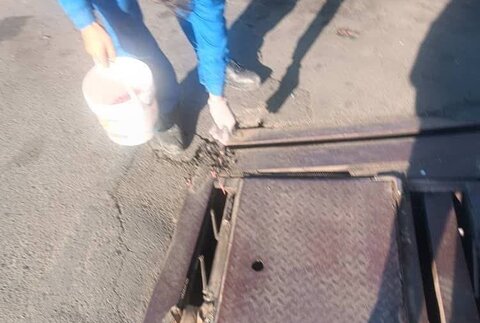 طرح طعمهگذاری در کرج آغاز شد امحا حیوانات موذی - کراپشده