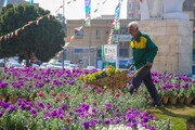 کاشت ۳۷۰ هزار گلدان در مناطق ۱۰ گانه کرج