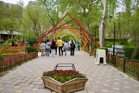 جشنواره باغ لاله ها