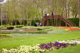 جشنواره باغ لاله ها