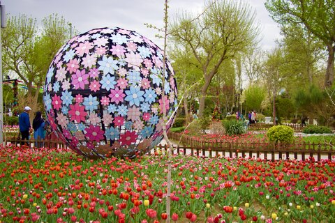 درب باغ گلها رو به شهروندان گشوده شد/تجربهای فراموشنشدنی از همآهنگی رنگ و عطر جشنواره باغ لاله ها