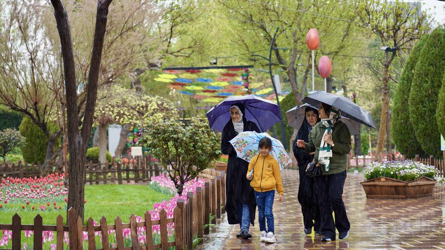 لالههای باغ گلهای کرج زیر چتر باران بهاری
