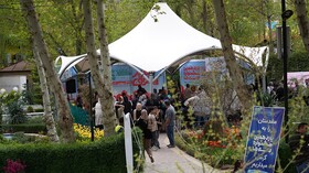 عصرها در جشنواره لاله ها