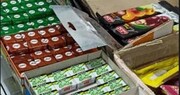 پارک‌ها و بوستان‌ها زیر ذره‌بین نظارتی قرار گرفتند