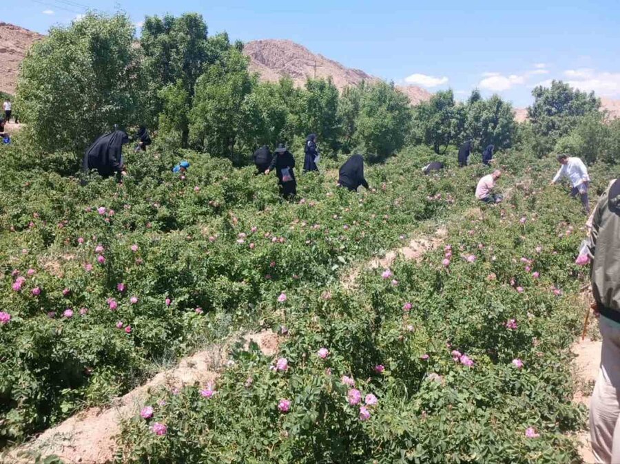 ۵۰۰ نفر از کارکنان شهرداری به اردوی کاشان اعزام شدند