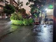 طوفان در کرج ۴۳ حادثه رقم زد/ نکات حیاتی برای مقابله با طوفان
