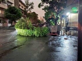 طوفان در کرج ۴۳ حادثه رقم زد/ نکات حیاتی برای مقابله با طوفان