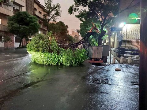 طوفان در کرج ۴۳ حادثه رقم زد/ نکات حیاتی برای مقابله با طوفان طوفان