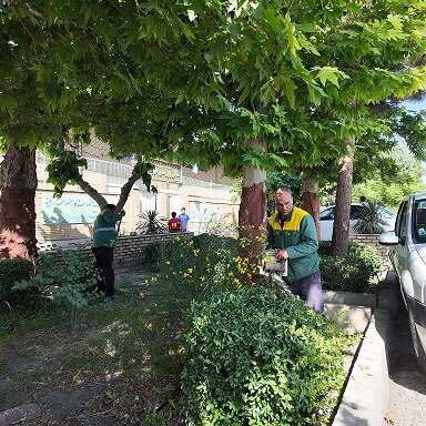 اجرای عملیات جهادی در منطقه ۲ شهرداری کرج