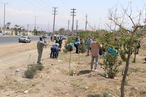 جاده قزلحصار پاکسازی شد/گامی برای ایجاد محیط زیست مطلوب