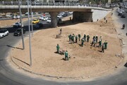 تلاش بی وقفه سبزبانان برای تکمیل احداث فضای سبز تقاطع غیرهمسطح جمهوری