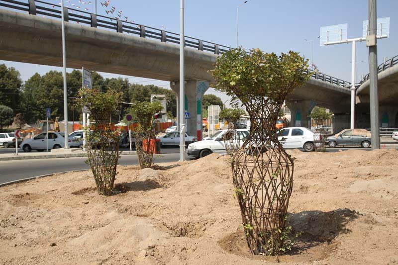 نگاهی به تقاطع جمهوری قبل و بعد از اقدامات سازمان سیما، منظر و فضای سبز شهری