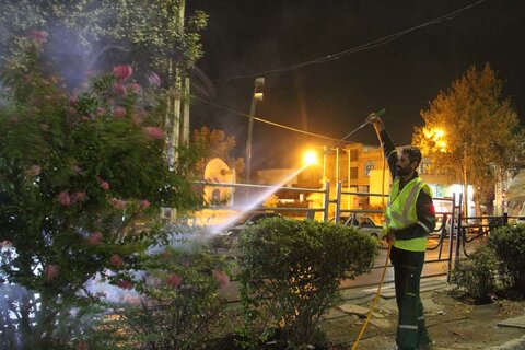 آبشویی درختان