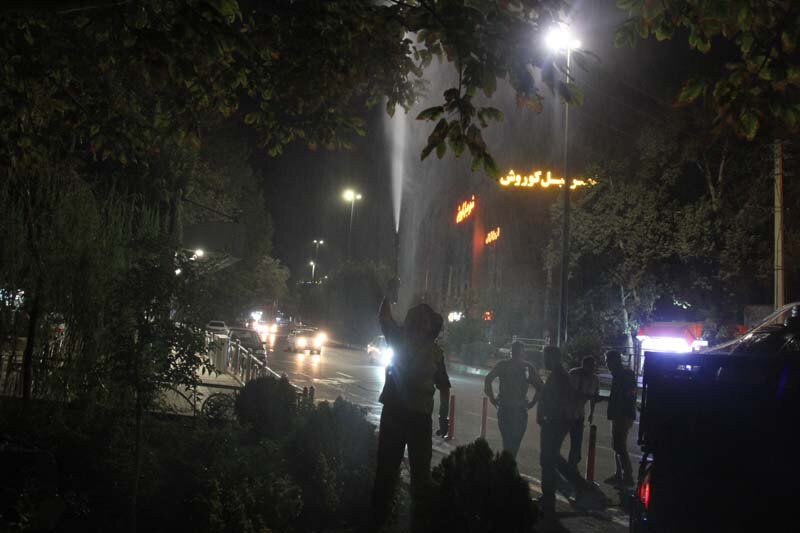 آبشویی روزانه ۴۵۰۰ اصله درخت و درختچه